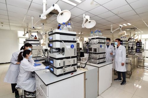 科技是中醫(yī)藥傳承創(chuàng)新發(fā)展的翅膀——以嶺藥業(yè)9月研發(fā)投入5.52億元助力工程和技術(shù)研究